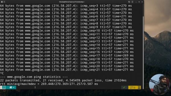 ping Command in Manjaro Linux - Basic Commands in Linux #20