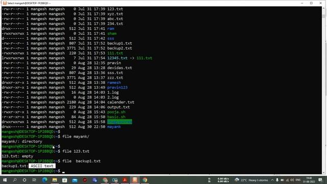 11 - chown command chgrp command & transfer files from win to linux смотреть онлайн