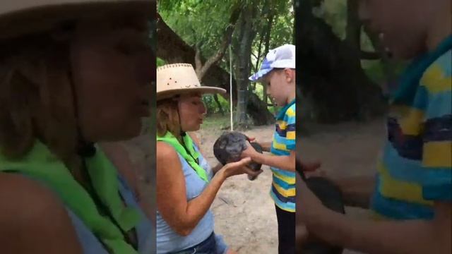 Парк ручных животных смотреть онлайн