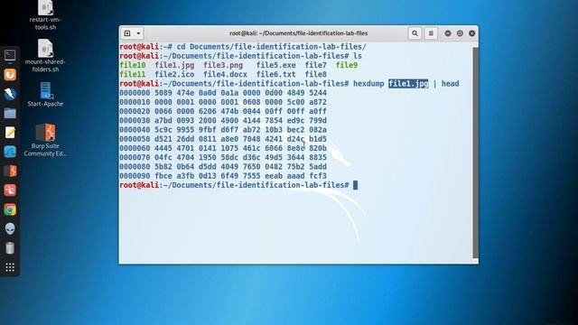 Linux Basics: How to Identify a File's Type смотреть онлайн