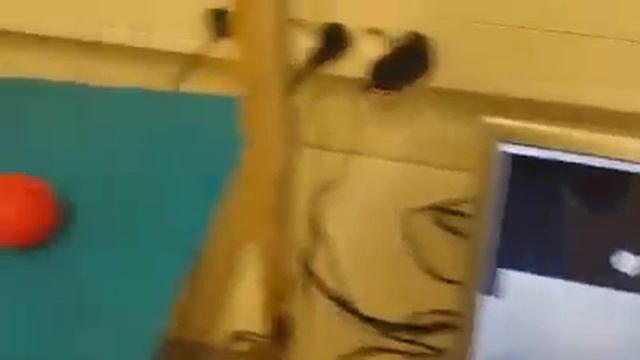 Balance Ball Project - Balle et Table Dynamique - Arduino - OpenCV - PID смотреть онлайн