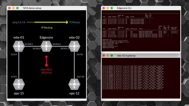 Implement MPLS on white box switches with the Metaswitch NOS Toolkit смотреть онлайн