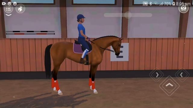How To Do Dressage In Equestrian The Game!