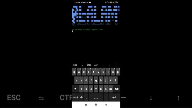 How To Install NGROK In Termux
