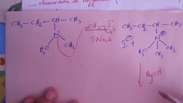 3_Hydrocarbure et fonction monovalente:les alcènes/partie 1 смотреть онлайн