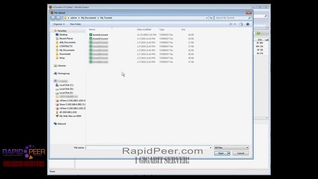 RapidPeer Managed Seedbox Services 1 Gigabit Demo смотреть онлайн