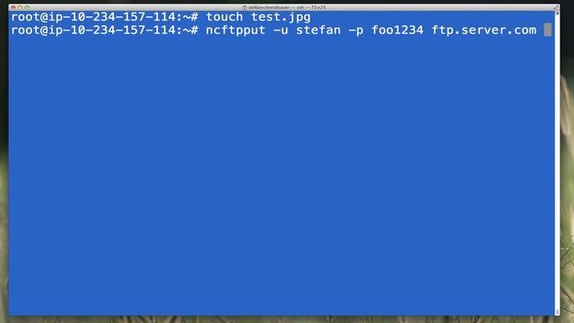 FTP unter Linux im script benutzen смотреть онлайн