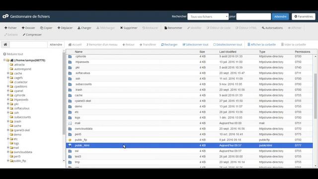 Comment vérifier si vos droits chmod sont correctes sur vos fichiers sur cPanel ? смотреть онлайн