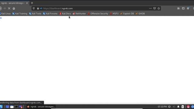 Como instalar o ngrok no Kali Linux | How to Install Ngrok on Kali Linux смотреть онлайн