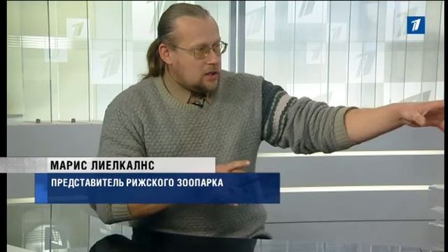 ПБК: Интервью: Марис Лиелкалнс смотреть онлайн