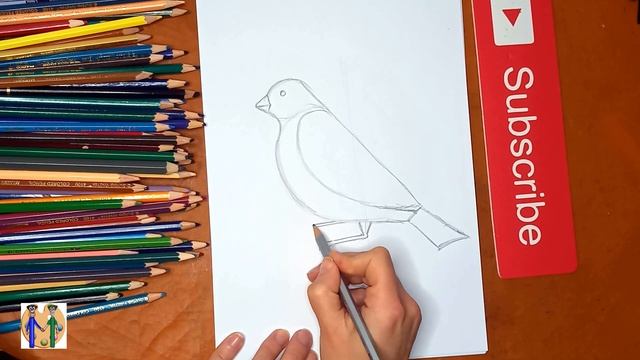 Как нарисовать снегиря. Онлайн-школа рисования "Малевашки" смотреть онлайн