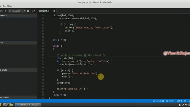 Linux OS : Run the Server socket programming смотреть онлайн