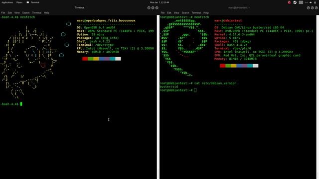 Warum 2019 mein BSD-Jahr wird - OpenBSD im Vergleich zu GNU+Linux смотреть онлайн