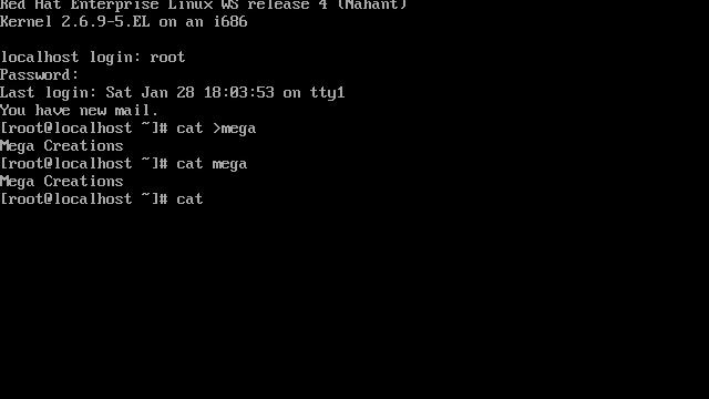 Using Cat Command To Create,Append,Dsiplay File смотреть онлайн