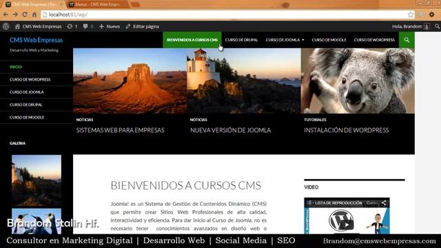 37. Posiciones de Menú y Sub Menú en WordPress смотреть онлайн