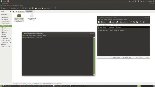 Como instalar o Google Chrome no sistema operacional Linux Ubuntu?: passo-a-passo смотреть онлайн