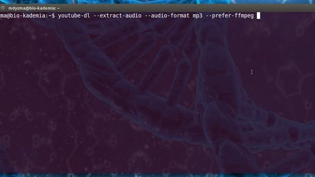 LINUX - Download mp3 from YT смотреть онлайн