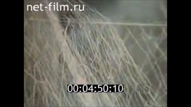 Дары озерной нивы. Докфильм ЛенНаучФильма о рыбаках смотреть онлайн