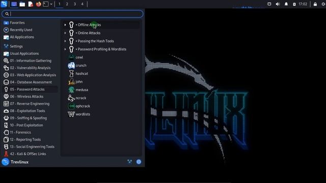 ALL 13 KALI LINUX TOOLS explained 2023. BEGINNER TUTORIAL FOR KALI LINUX understanding. смотреть онлайн