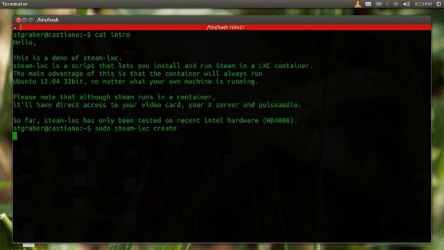 Steam for Linux running in a LXC container on Ubuntu смотреть онлайн
