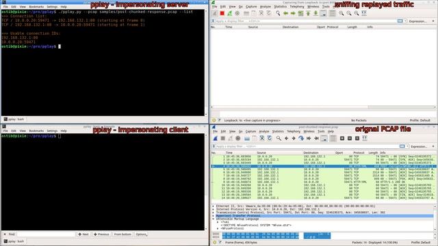 Using pplay for replaying tcp and udp payloads from pcap captures смотреть онлайн