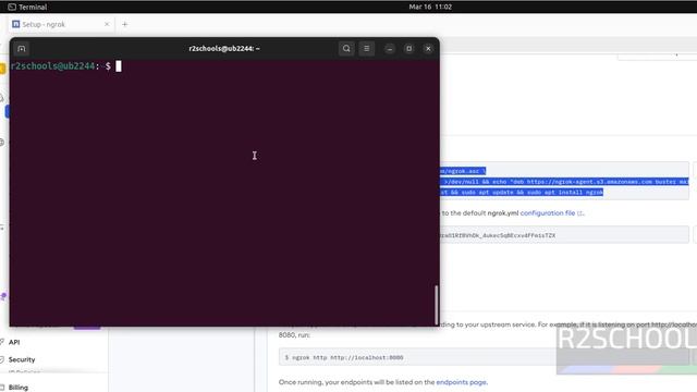 How to install ngrok on Ubuntu 22.04 LTS смотреть онлайн