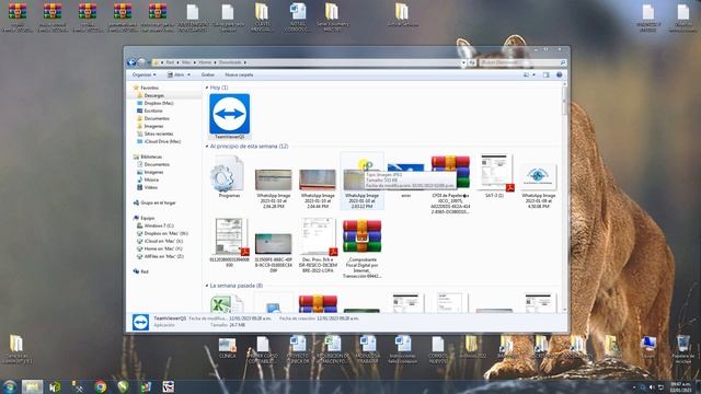 Soporte Remoto Teamviewer como administrador смотреть онлайн