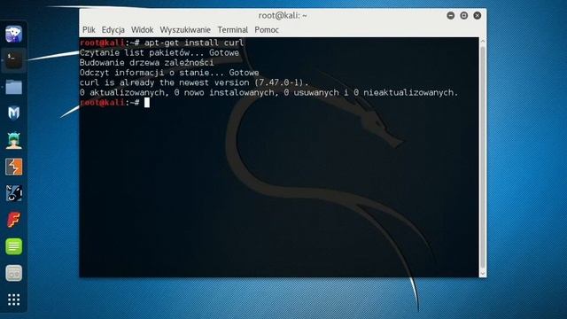 How to find My public IP address in linux cli / Sprawdzanie zewnętrznego adresu IP w konsoli linuxa смотреть онлайн