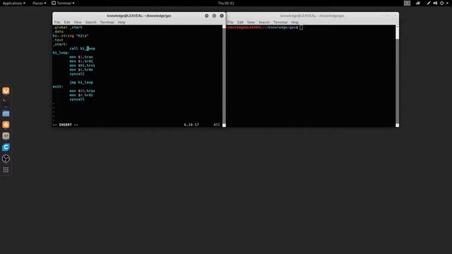 GAS x64 GNU Assembler loop tutorial in Linux смотреть онлайн