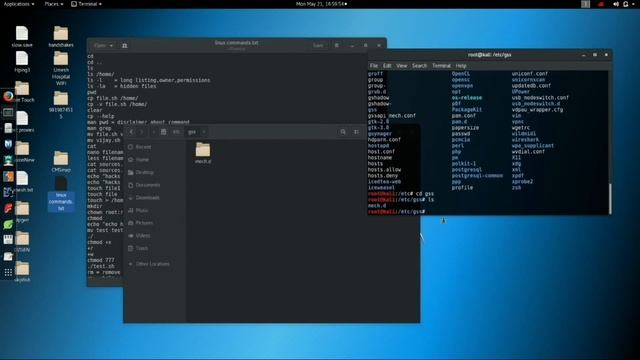 Linux Terminal Basic Functionality | Kali Linux Basic Commands For Beginners Part 1 смотреть онлайн