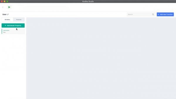 25-DataTypes | Kodika iOS App Builder