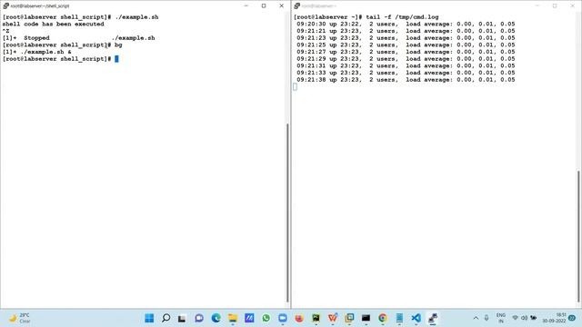 Send running script or job into background on Linux OS смотреть онлайн