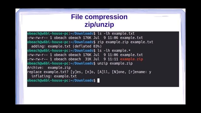 Learning Linux Mint 22.2 Update, John Kennedy_Taming The Terminal, Chpt. 5, Orv Beach APCUG WedWksp