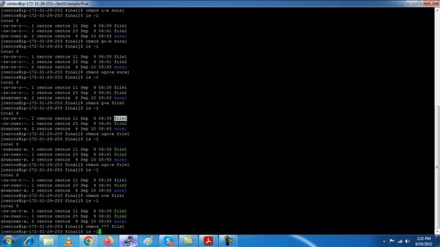 chmod and chown permission in linux || Basics Permission in Linux ||AWS Linux permissions || смотреть онлайн