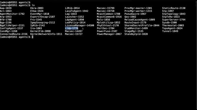 Arista EOS agent and /var/log partition смотреть онлайн
