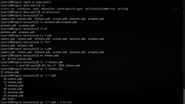Wildcards, redirection to files, and pipes in bash смотреть онлайн