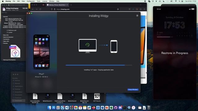 FREE Widgy Premium For IOS - IPadOS