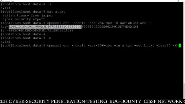 Generating AES Keys pair to encrypt Decrypt Files | Openssl tutorial | Cryptography |aes encryptio смотреть онлайн