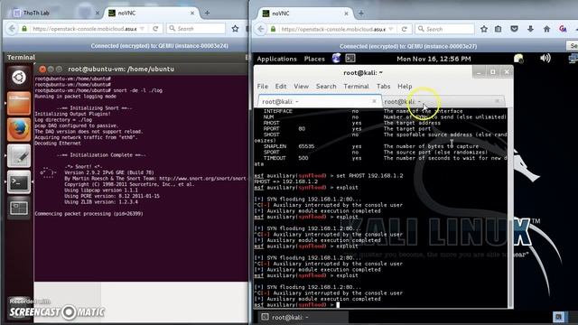 CSE 598 - CNS Project 4 - SNORT IDS Demonstration смотреть онлайн
