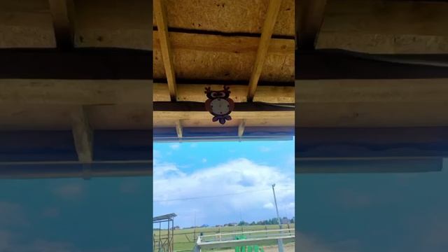 Благодарности пост смотреть онлайн