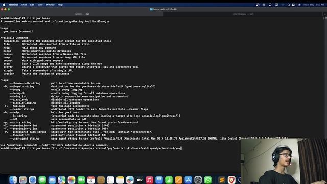 Perform Visual Recon the right way | #BUGHUNT EP 22 | Free Bug Bounty courses | Linux By Vikku смотреть онлайн