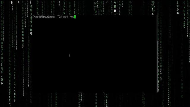 06 | CURSO DE LINUX - COMANDO CAT смотреть онлайн