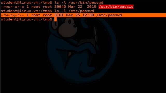 LCL 12 - mode bits revisited - Linux Command Line tutorial for forensics смотреть онлайн