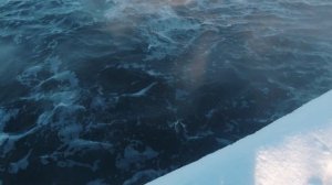 Зимний нахлыст на нимфу.  Fly-Fishing.ru на рыбалке.