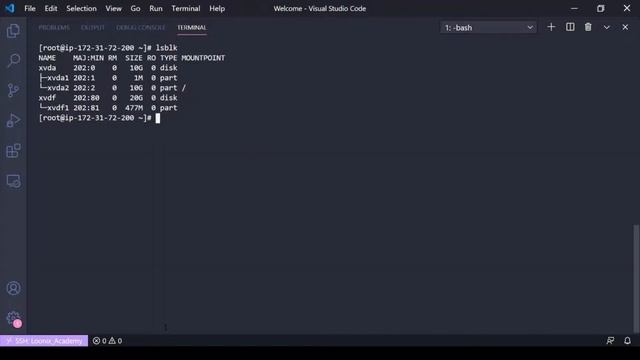 Linux Basics: How To Partition a Drive in Linux // How To Make a Filesystem and Mount a Drive смотреть онлайн