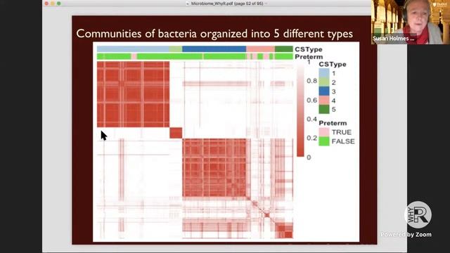 Why R? Webinar 029 - Susan Holmes - Why using R for analysis of the human microbiome is a good ide смотреть онлайн
