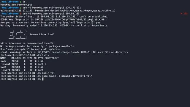 [#1 - Via Recovery VM] Regain Access to Linux EC2 Instance If You Lost Private Key | Vimal Paliwal смотреть онлайн
