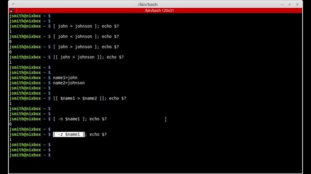 How to Use Test Conditions and If Statements in Bash смотреть онлайн