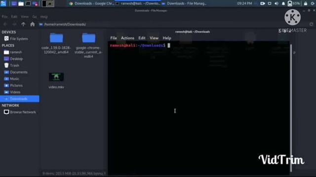 How to install ngrok without error in kali linux in | tamil video|Lastas video 2021 смотреть онлайн